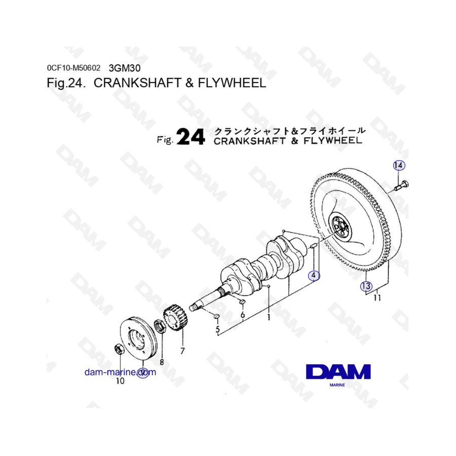 Yanmar 3GM30FC - CRANKSHAFT & FLYWHEEL