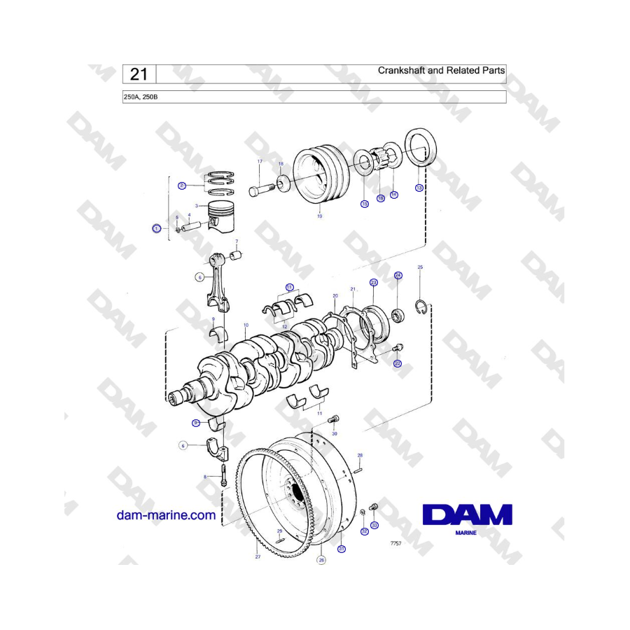 Volvo Penta 250A, 250B - Crankshaft and Related Parts