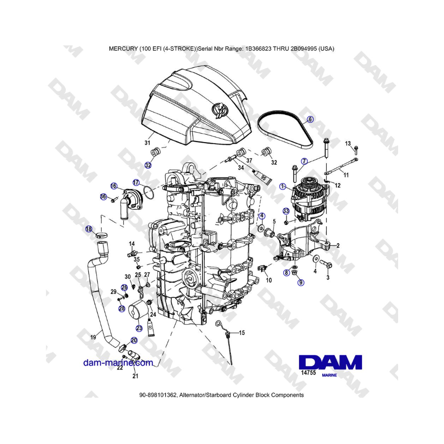 Mercruiser EFI 100 (4-STROKE) - Alternator/Starboard Cylinder Block Components