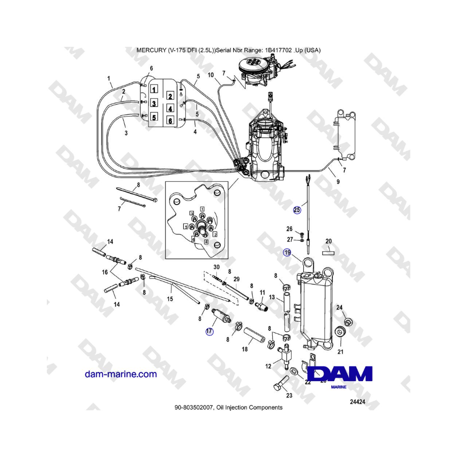 Mercury Verado 175 - Oil Injection Components