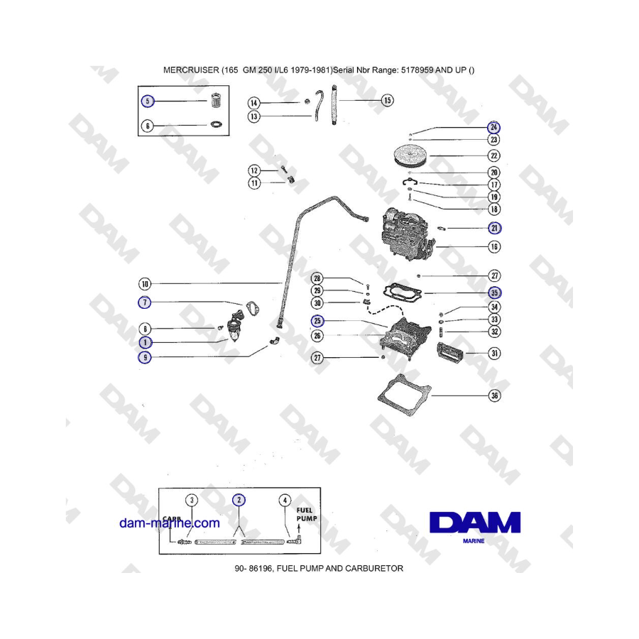 Mercruiser 165 - FUEL PUMP AND CARBURETOR