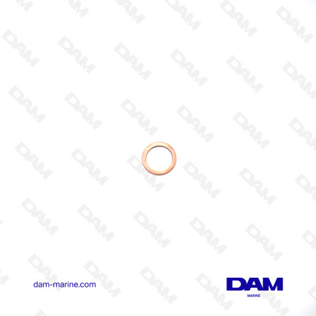 DRAIN GASKET VOLVO - 18818