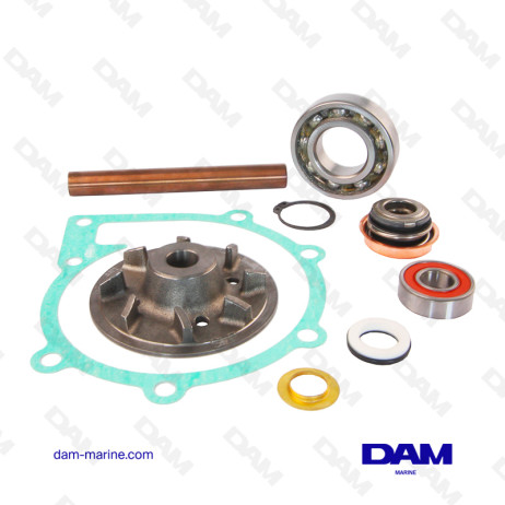 VOLVO CIRCULATION PUMP KIT - 876793