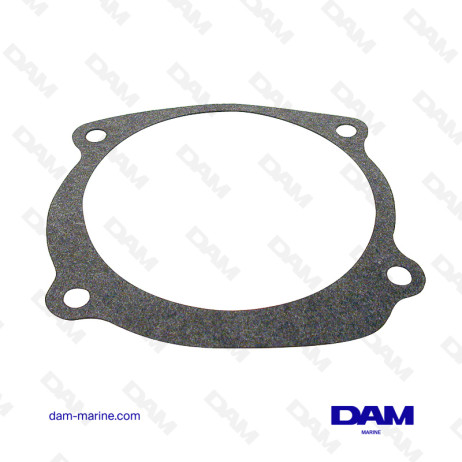 BRP PUMP GASKET 0338484