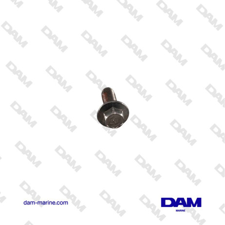 PUMP SCREW 10-816928