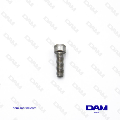 SCREW MERCURY M6X20