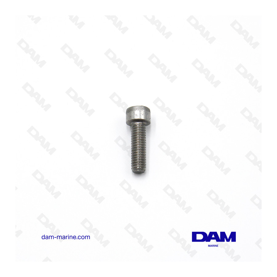 SCREW MERCURY M6X20