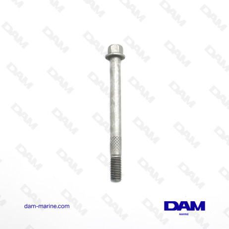 METRIC STARTER SCREW