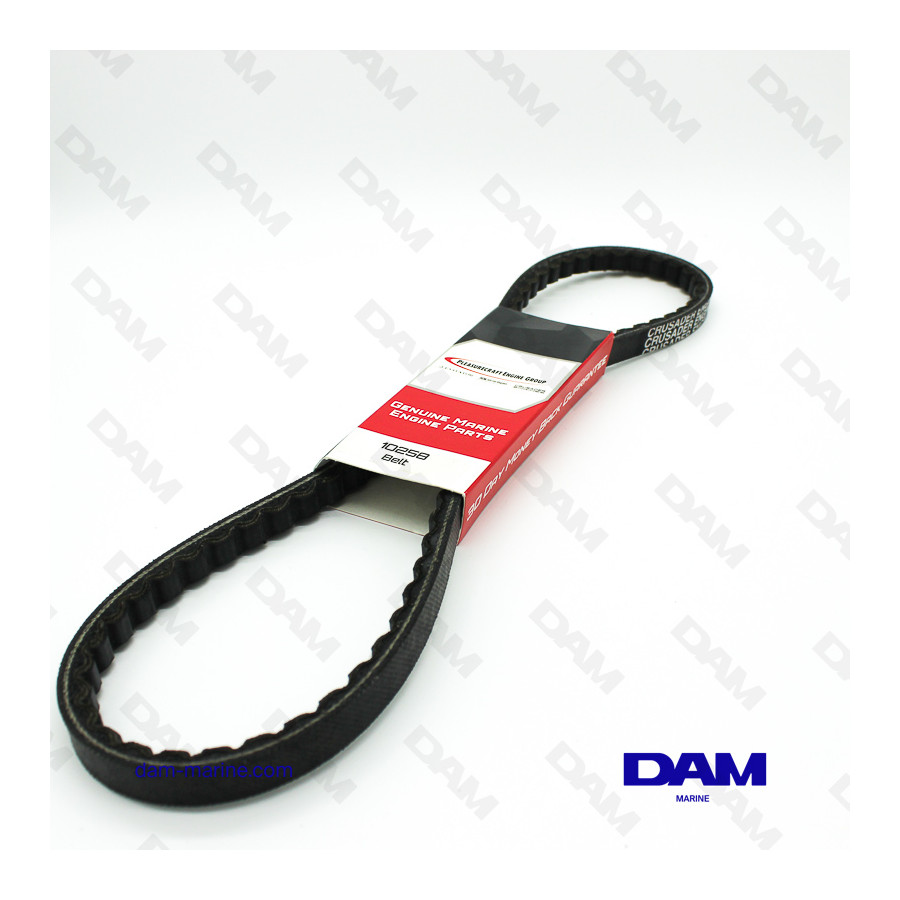 OEM CRUSADER BB PUMP BELT