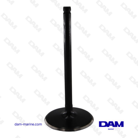 INTAKE VALVE GM 6L AP08