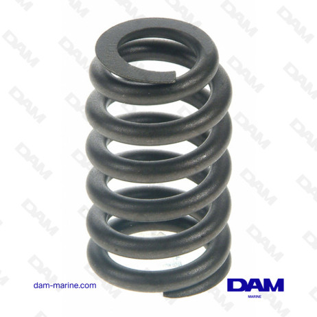 GM 6L VALVE SPRING