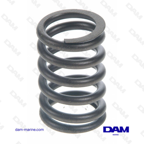 FORD INTAKE VALVE SPRING