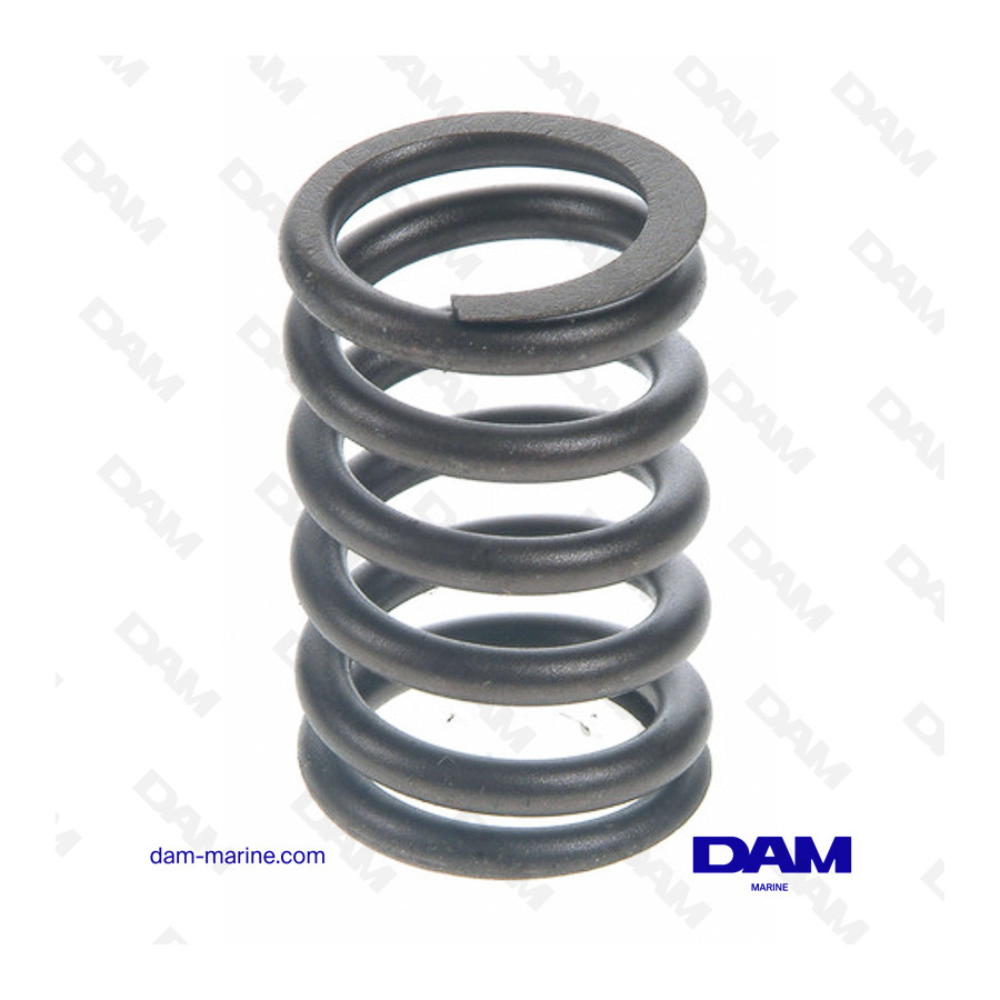 FORD INTAKE VALVE SPRING