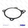 W895 MIXING PUMP GASKET