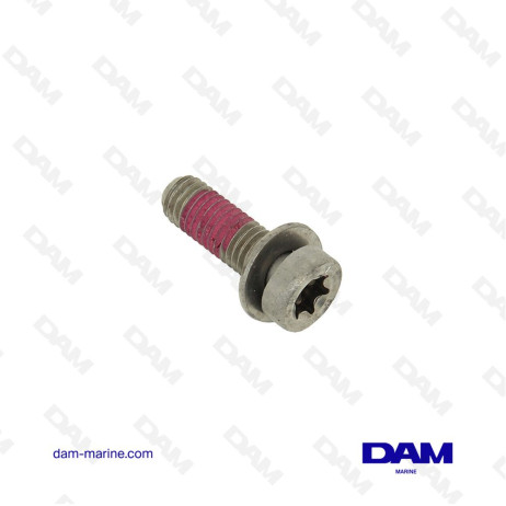 BTR SCREW VOLVO - 984257