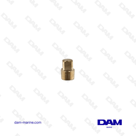 BOUCHON MALE 4P 1/8 NPT