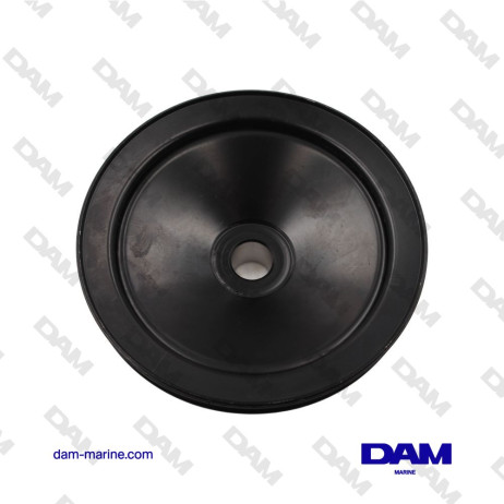 POWER STEERING PUMP PULLEY