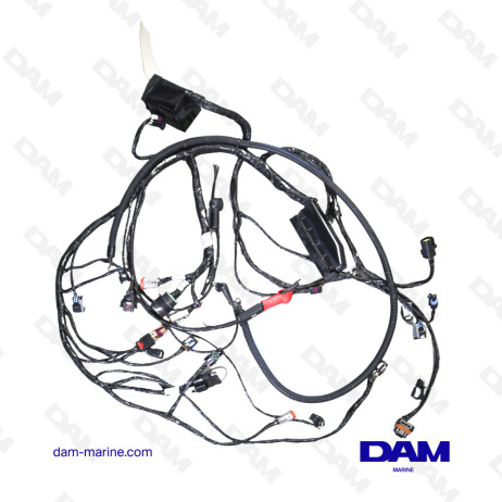 FAISCEAU ELECTRIQUE MOTEUR PCM EXCALIBUR 343 NON CATALYSEE