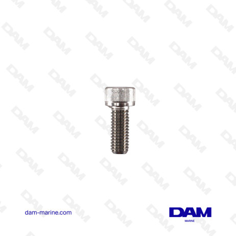 BTR BOLT STAINLESS STEEL M8X20 YANMAR