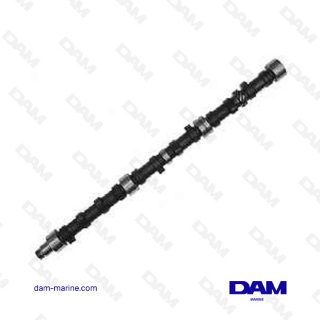 ARBRE A CAMES VOLVO 6 CYLINDRES EN L B30 - 461511