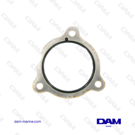 GM V8 6L DIAPHRAGM GASKET