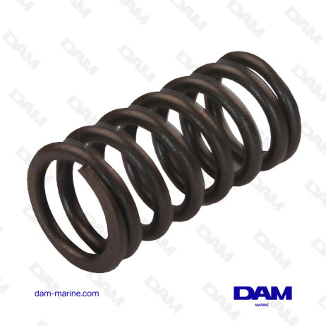 VOLVO VALVE SPRING - 861701