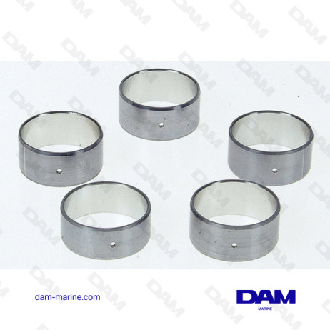 CAMSHAFT BEARINGS SET V8 BB