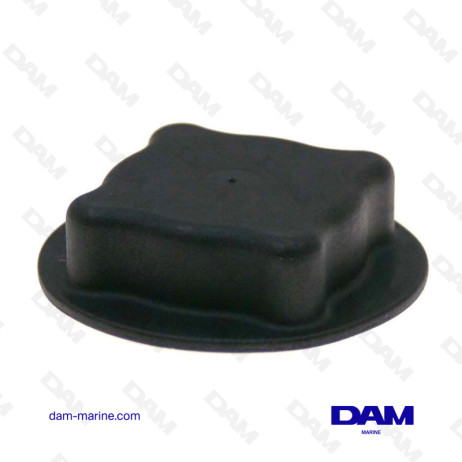 EXPANSION TANK CAP VOLVO - 1674083