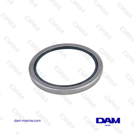 VOLVO THERMOSTAT GASKET