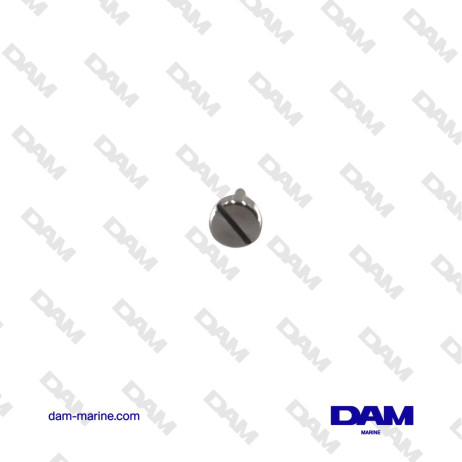 VOLVO BASE BLEED SCREW - 852904