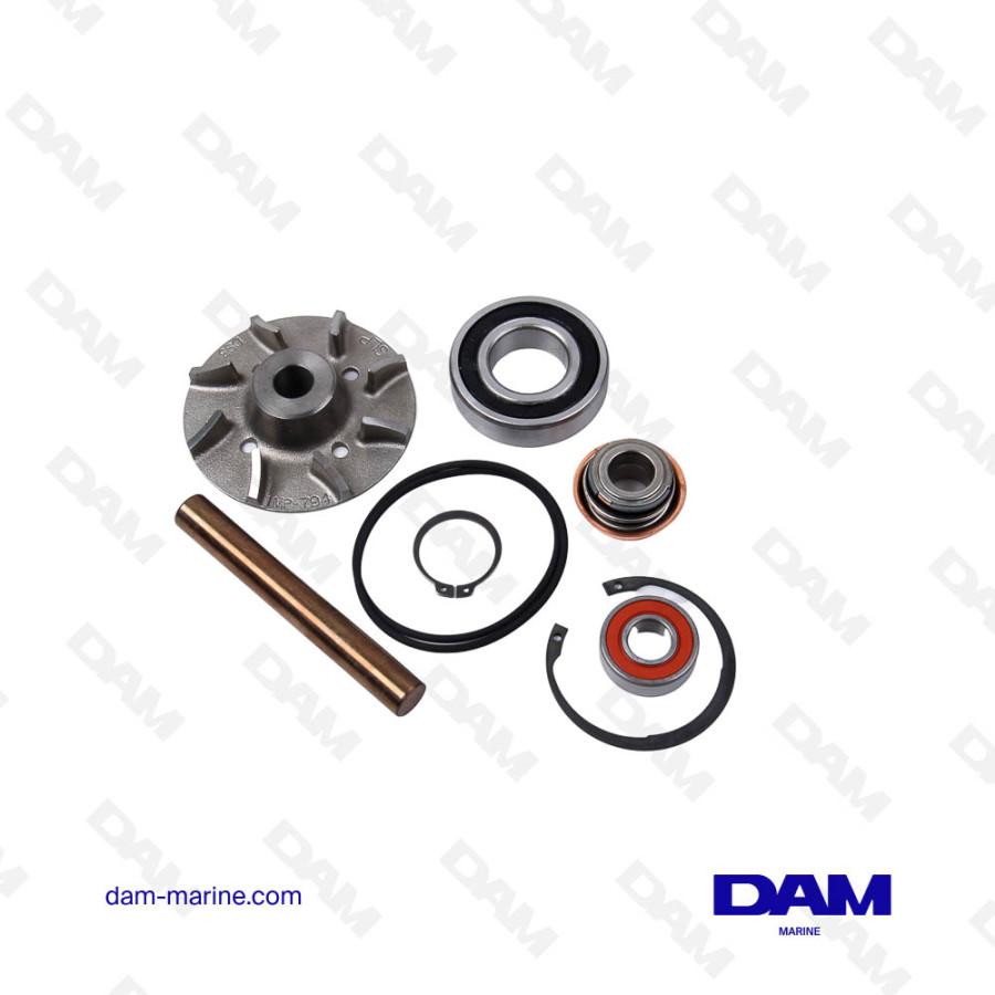 VOLVO CIRCULATION PUMP KIT - 876840