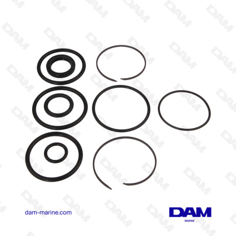 CYLINDER GASKET KIT COBRA - SX - DP-SM