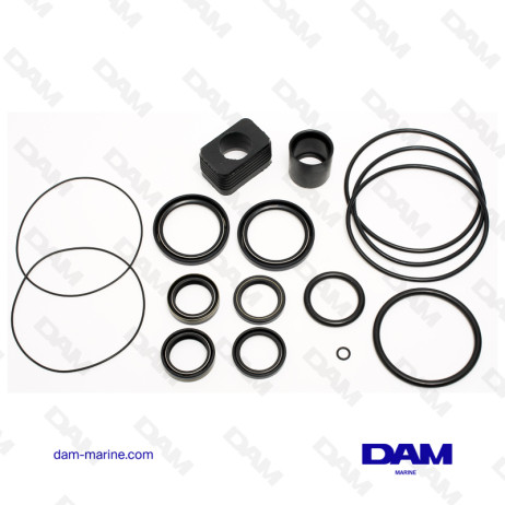 VOLVO DP-S LOWER GASKET KIT - 3856002