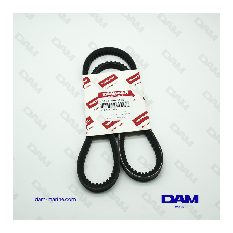 YANMAR BELT