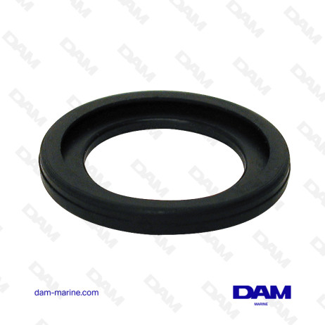 MERCURY THERMOSTAT GASKET