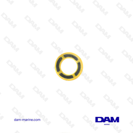 MERCURY DRAIN GASKET