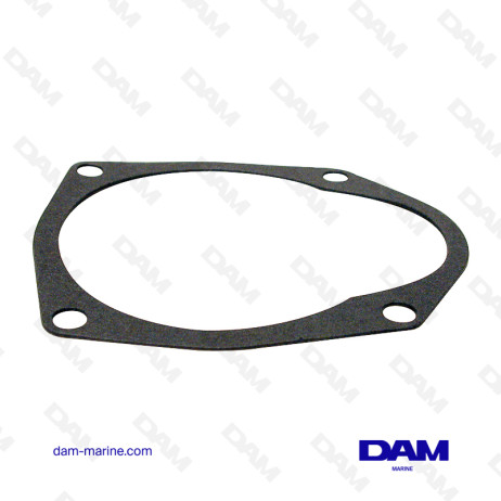 PUMP PLATE GASKET