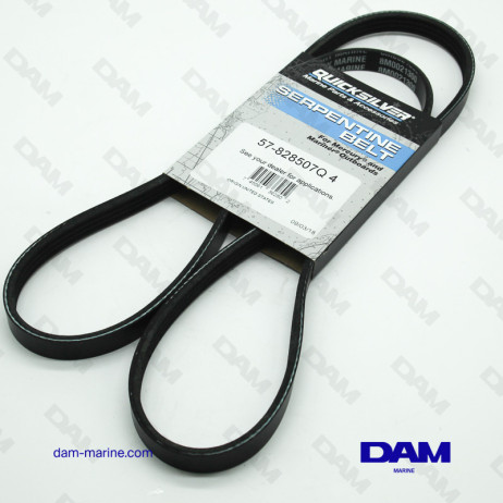 SERPENTINE BELT MERCURY