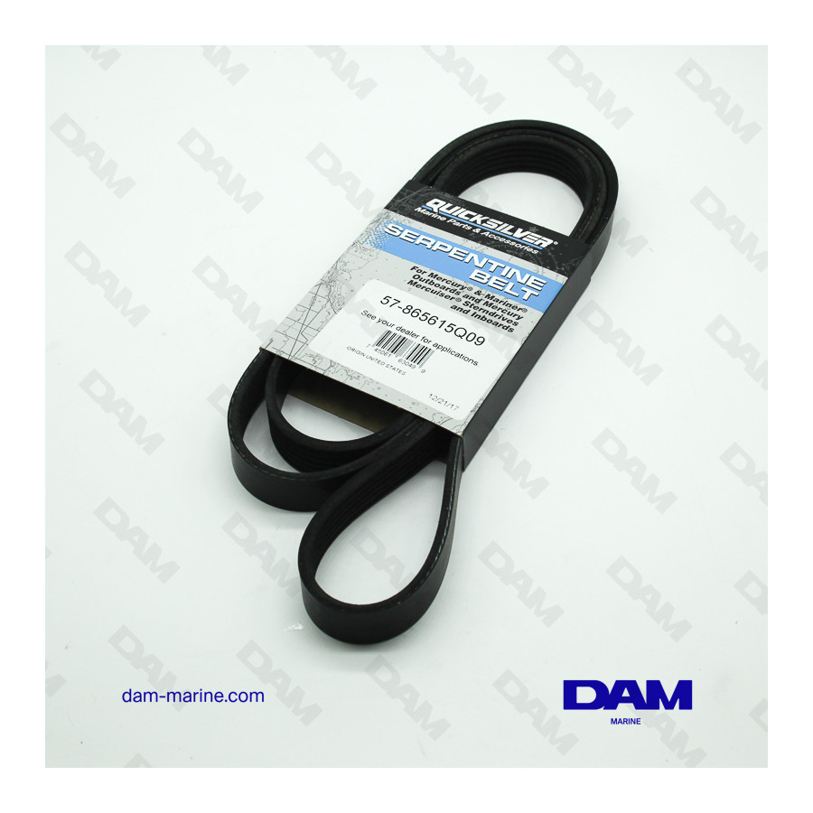 SERPENTINE BELT MERCRUISER SS DA