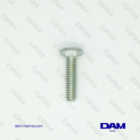 SCREW 1/4-20 X 1