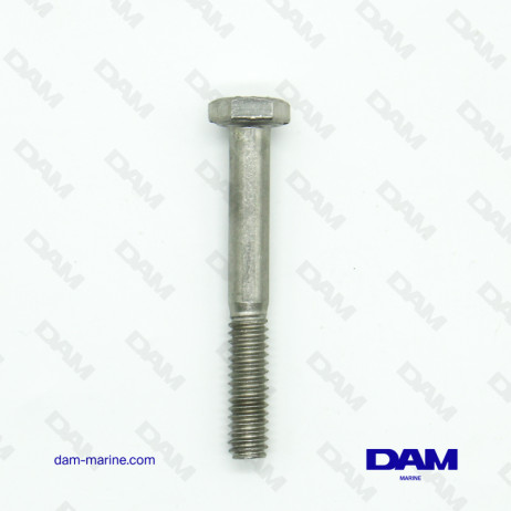 SCREW 1/4-20 X 2