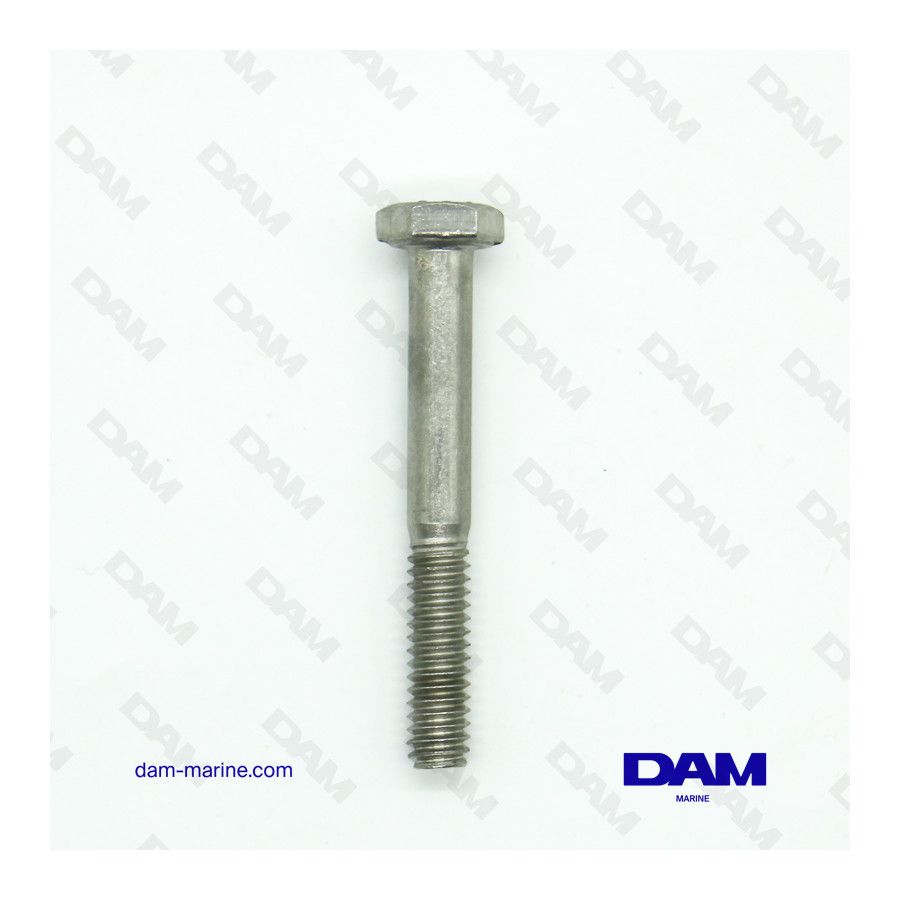 SCREW 1/4-20 X 2