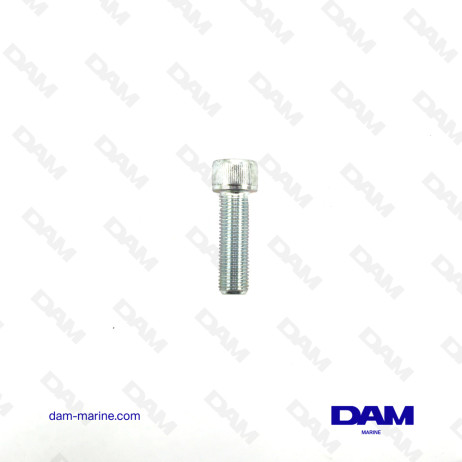 BTR SCREW 3/8-24 X 1-1/4