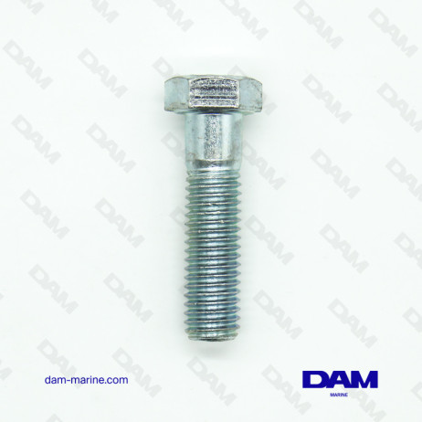 SCREW 1/2-13 X 2