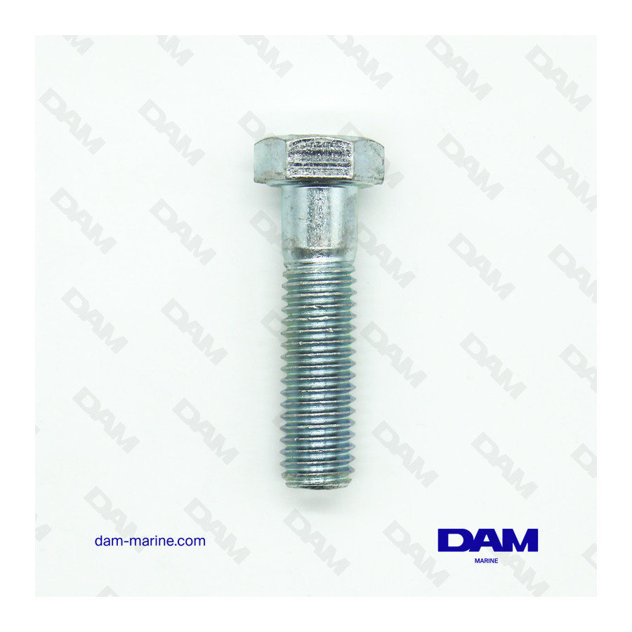 SCREW 1/2-13 X 2