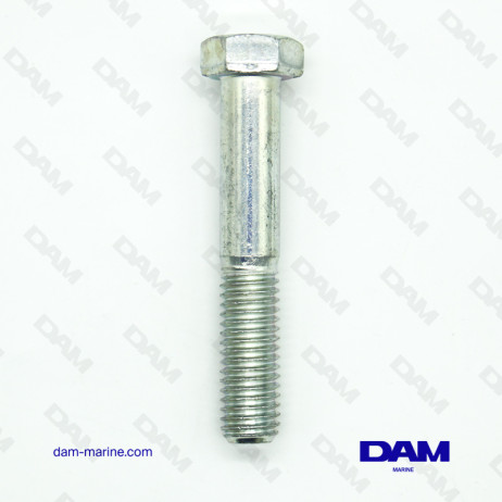 SCREW 1/2-13 X 3