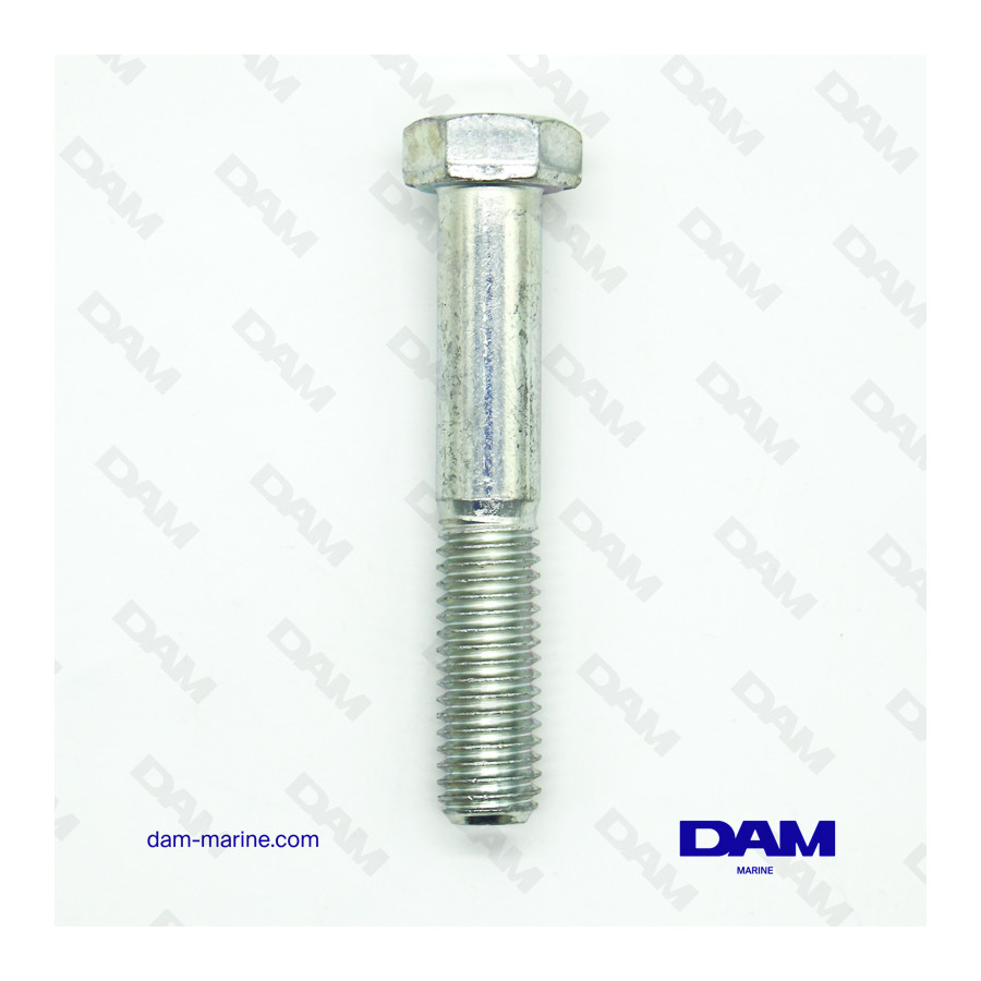 SCREW 1/2-13 X 3