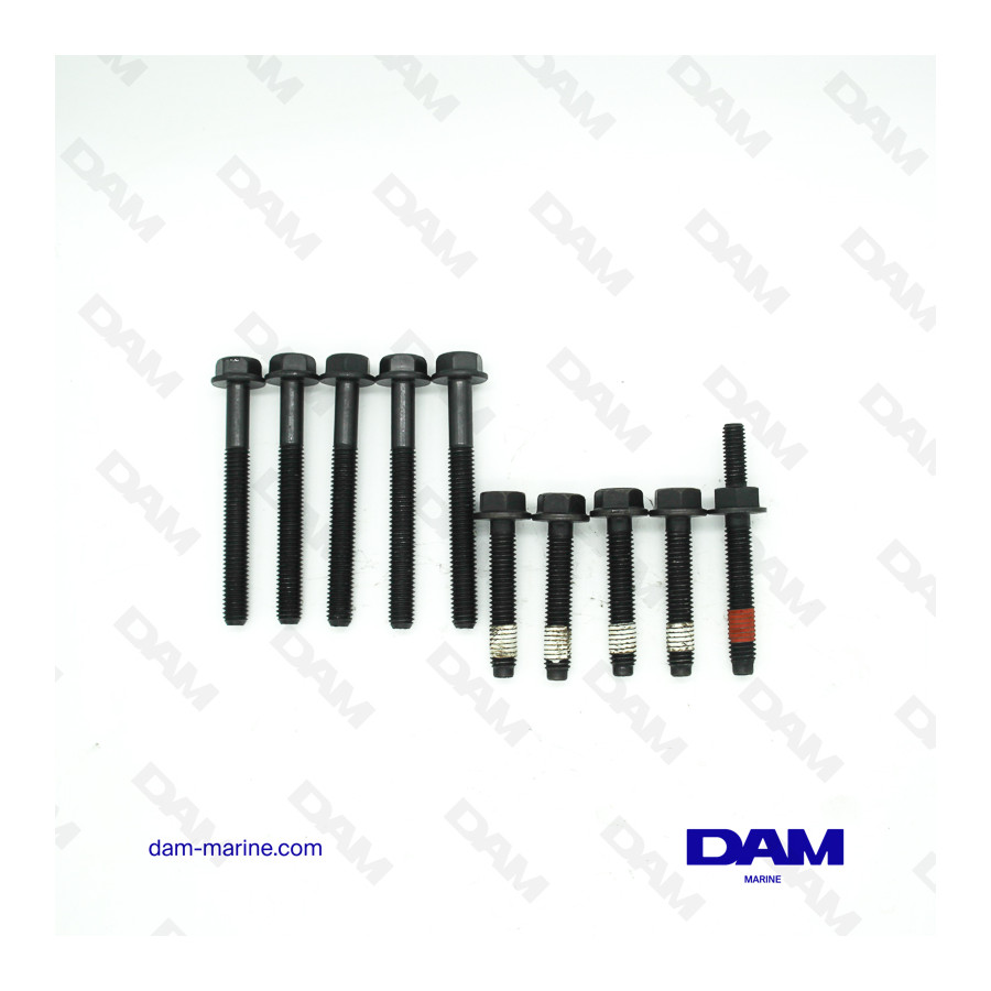 FORD 302 HEAD SCREW KIT 10MM DIAMETER