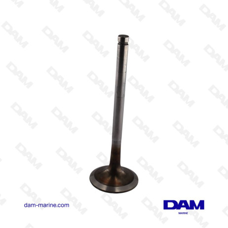 MERCRUISER INTAKE VALVE