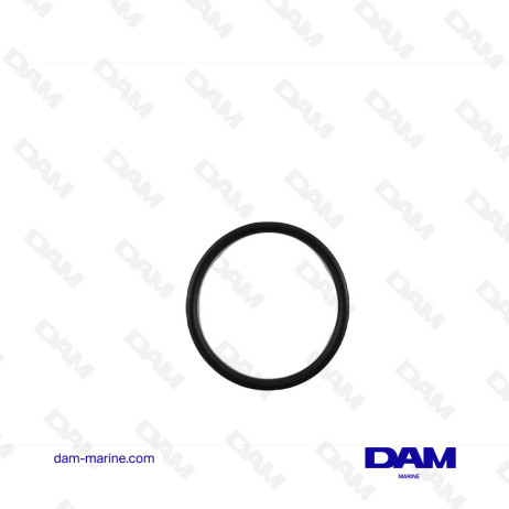 O-RING - 48MM